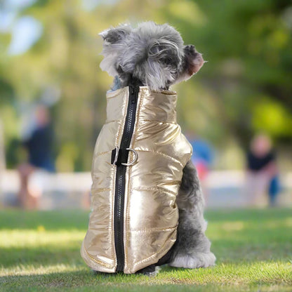 Shiny Schnauzer Jacket