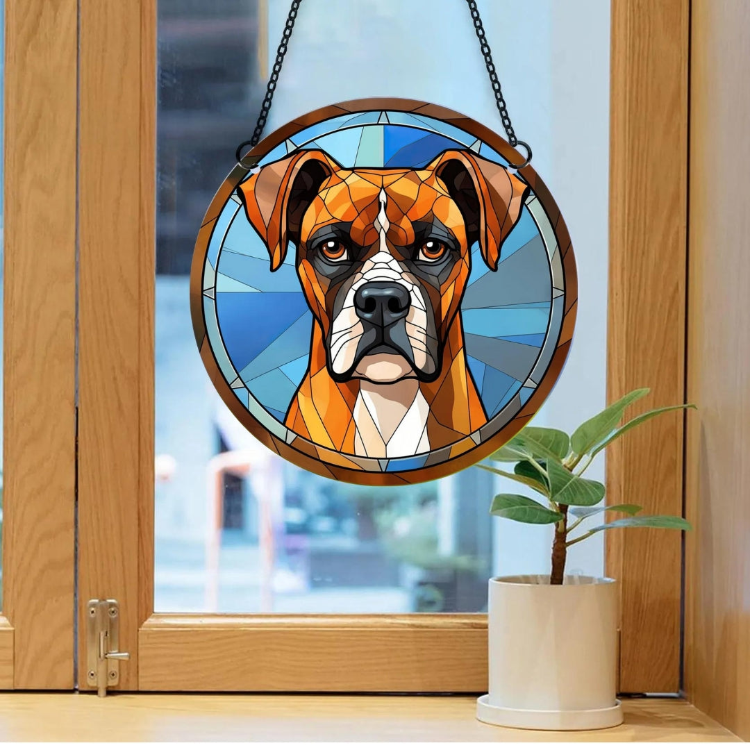 Boxer Acrylic Wall Decoration