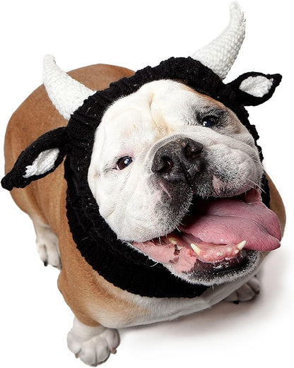 English Bulldog Hat