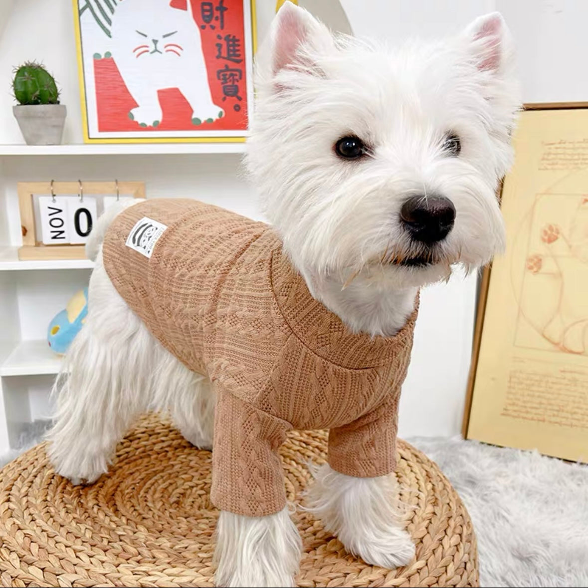Archie Dog Sweater