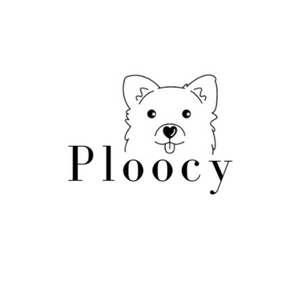Ploocy