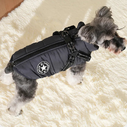 Schnauzer Harness & Jacket