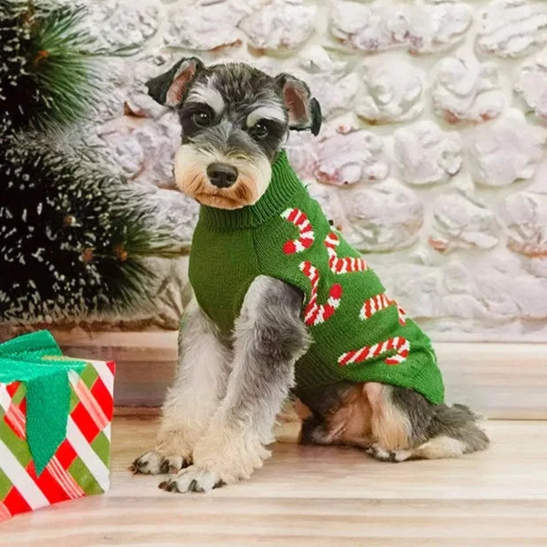 Christmas Schnauzer Sweater