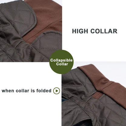Premium Schnauzer Winter Coat