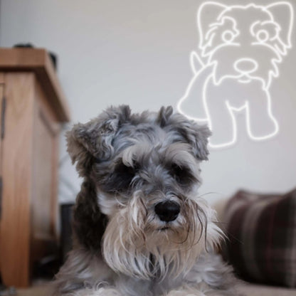 Schnauzer Neon Sign