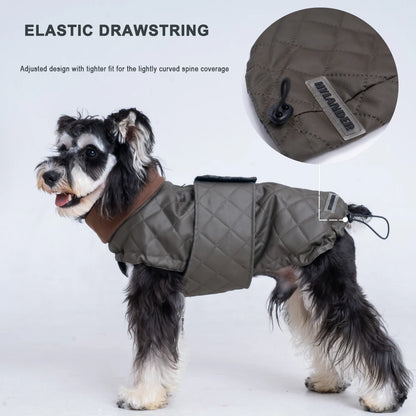 Premium Schnauzer Winter Coat