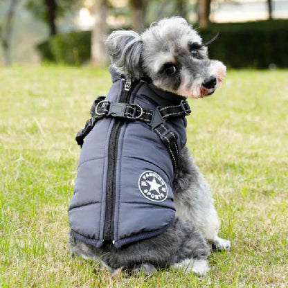 Schnauzer Harness & Jacket