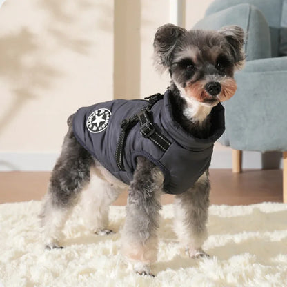 Schnauzer Harness & Jacket