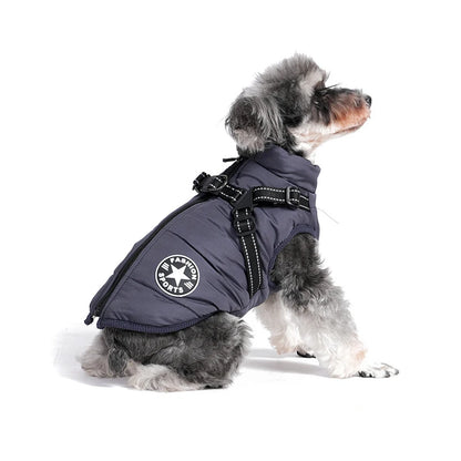 Schnauzer Harness & Jacket