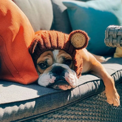 English Bulldog Hat