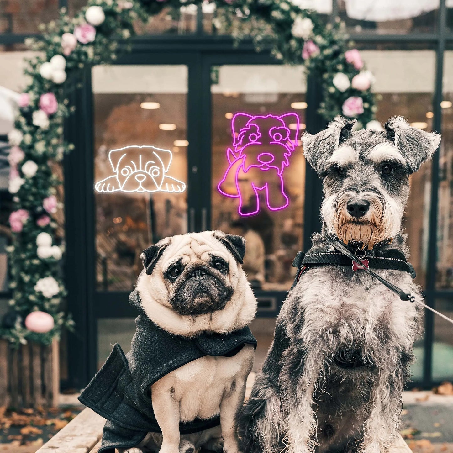 Schnauzer Neon Sign