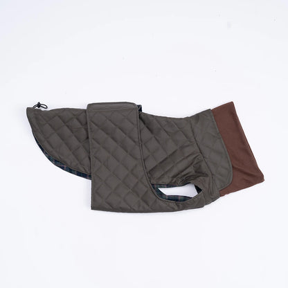 Premium Schnauzer Winter Coat