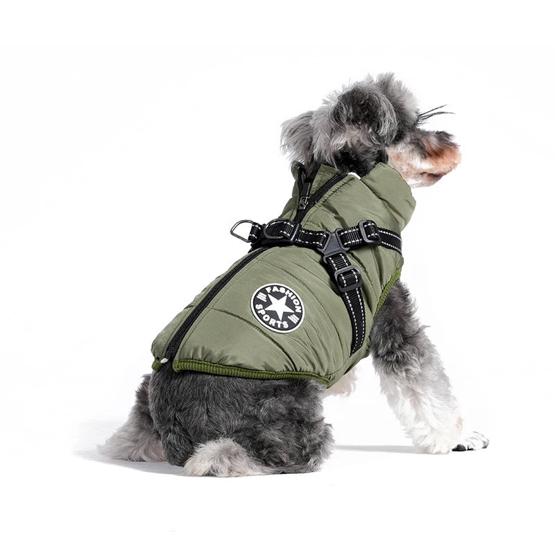 Schnauzer Harness & Jacket
