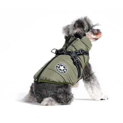 Schnauzer Harness & Jacket