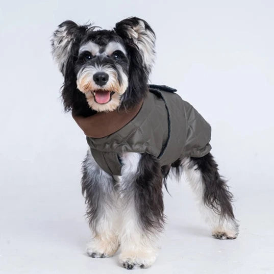 Premium Schnauzer Winter Coat