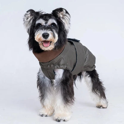 Premium Schnauzer Winter Coat
