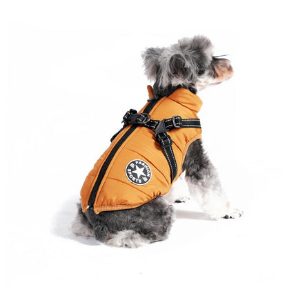 Schnauzer Harness & Jacket
