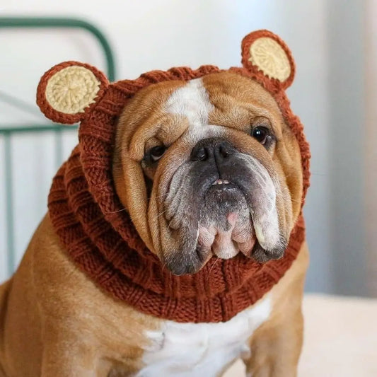 English Bulldog Hat