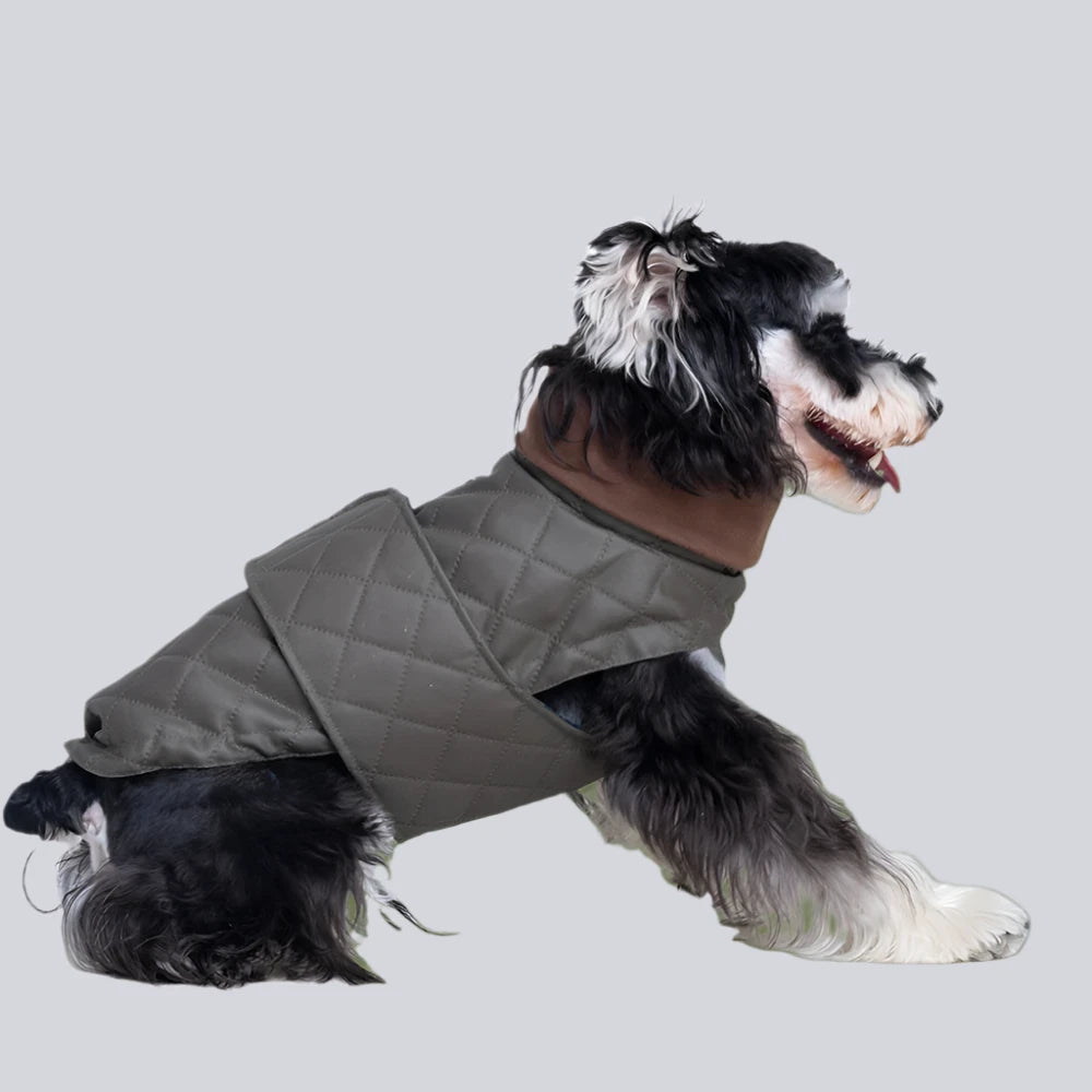 Premium Schnauzer Winter Coat