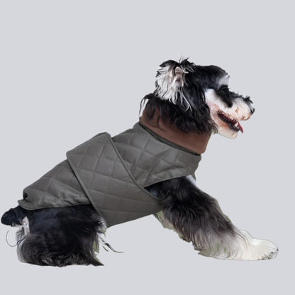 Premium Schnauzer Winter Coat