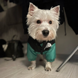 The Dog Face Westie Jacket