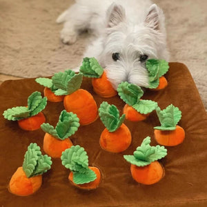 Pull A Carrot Dog Toy