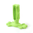 Chewy dog toothbrush toy