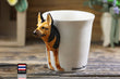 3D German Shepherd Mug