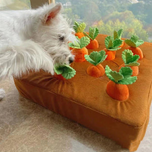 Pull A Carrot Dog Toy