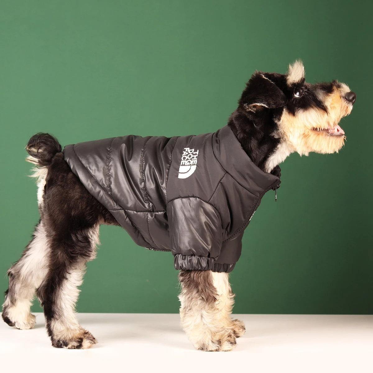The Dog Face Jacket