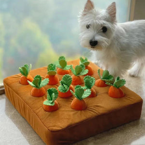 Pull A Carrot Dog Toy