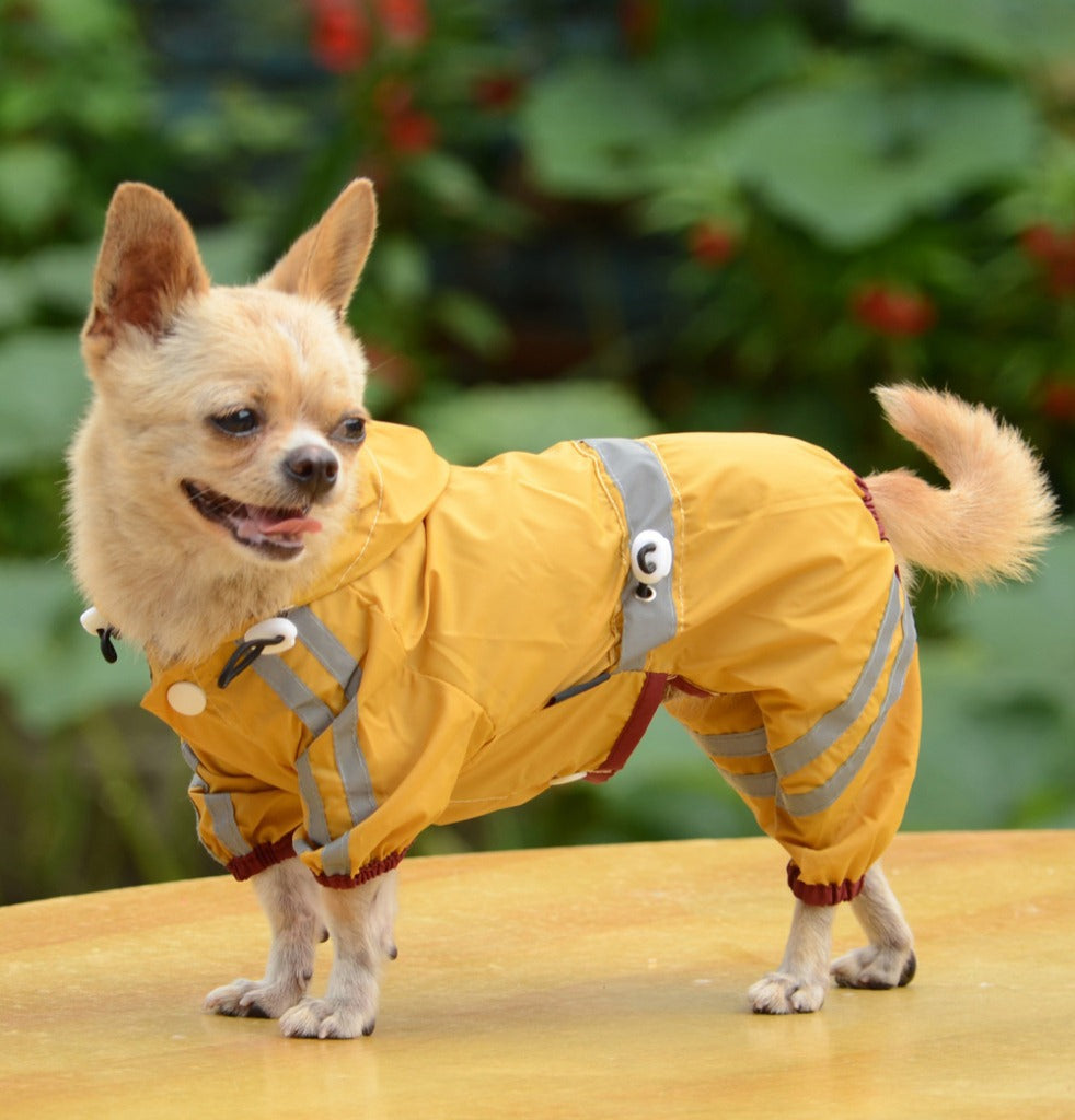 Chihuahua Dog Raincoat