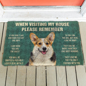 When Visiting My House Please Remember Bulldog Doormat
