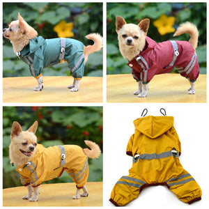 Chihuahua Dog Raincoat
