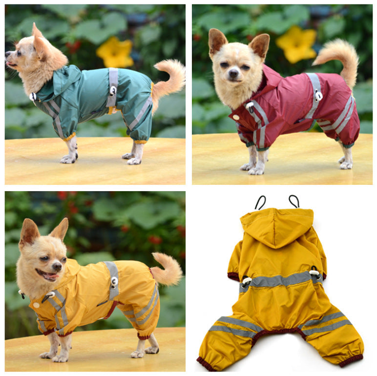 Chihuahua Dog Raincoat