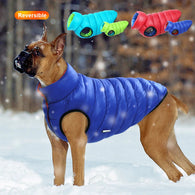Boxer Dog Winter Jacket