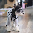 Schnauzer Raincoat with Hoodie