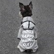 Schnauzer Raincoat with Hoodie