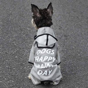 Schnauzer Raincoat with Hoodie
