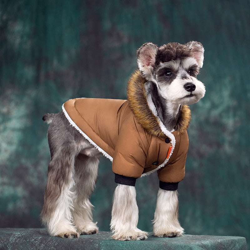 Chewy V Dog Coat - Brown – SchnauzerCouture