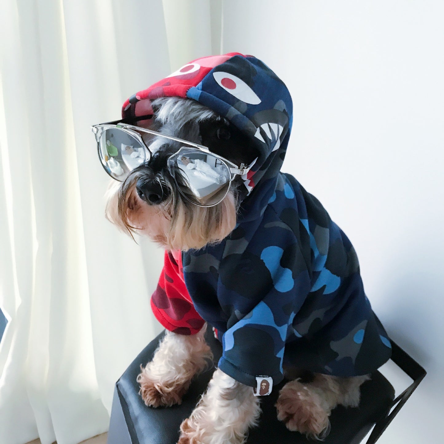 Camouflage Dog Hoodie
