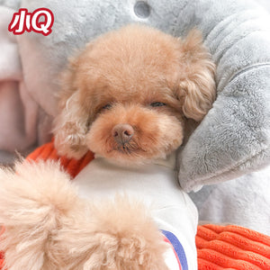 Wild-Summer Pet Bed