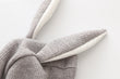Rabbit Ears Hoodie