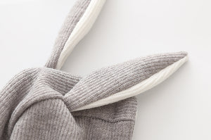 Rabbit Ears Hoodie