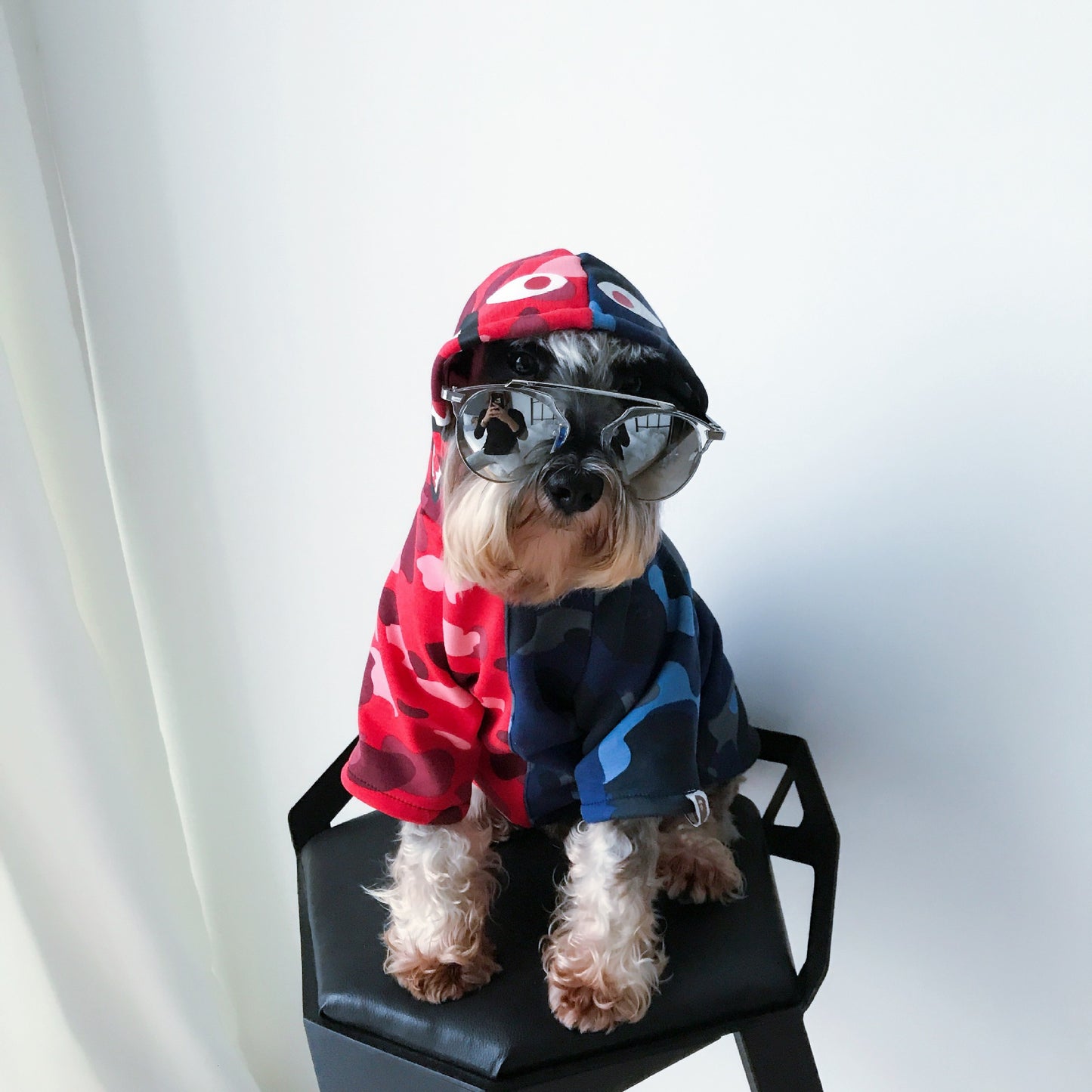 Camouflage Dog Hoodie