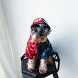 Camouflage Dog Hoodie