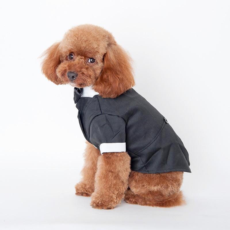 Dog Tuxedo