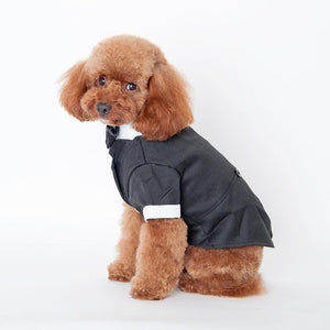 Dog Tuxedo