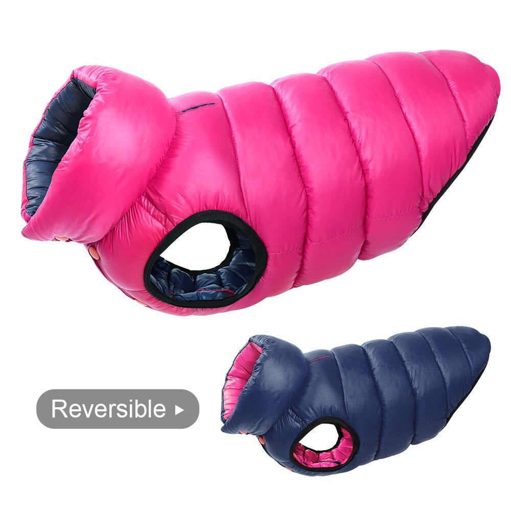 Boxer Dog Winter Jacket