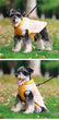 Premium Winter Schnauzer Jacket